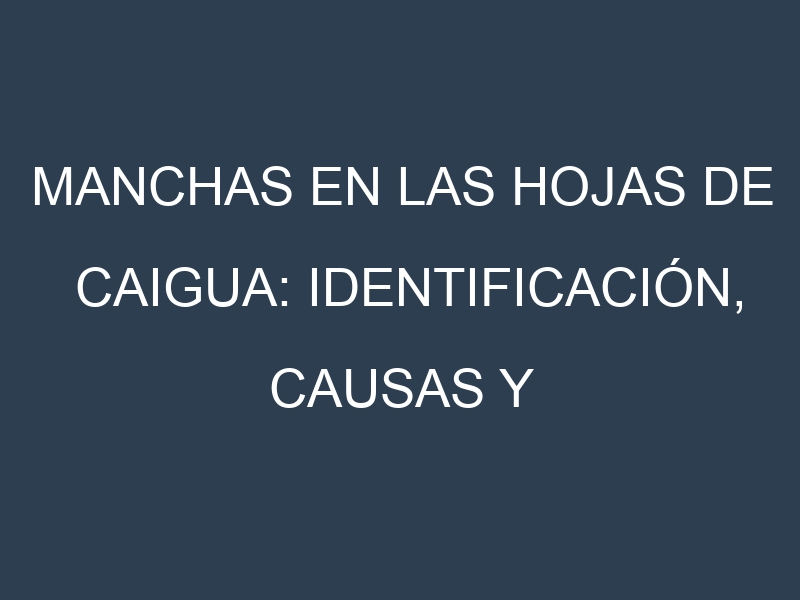 Manchas en las hojas de Caigua: Identificación, Causas y Estrategias de Control Efectivo