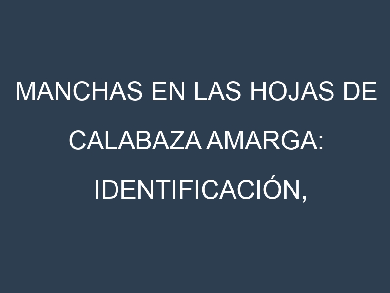Manchas en las hojas de Calabaza amarga: Identificación, Causas y Estrategias de Control Efectivo