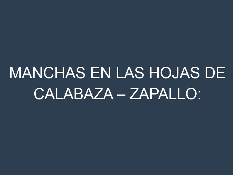 Manchas en las hojas de Calabaza – Zapallo: Identificación, Causas y Estrategias de Control Efectivo