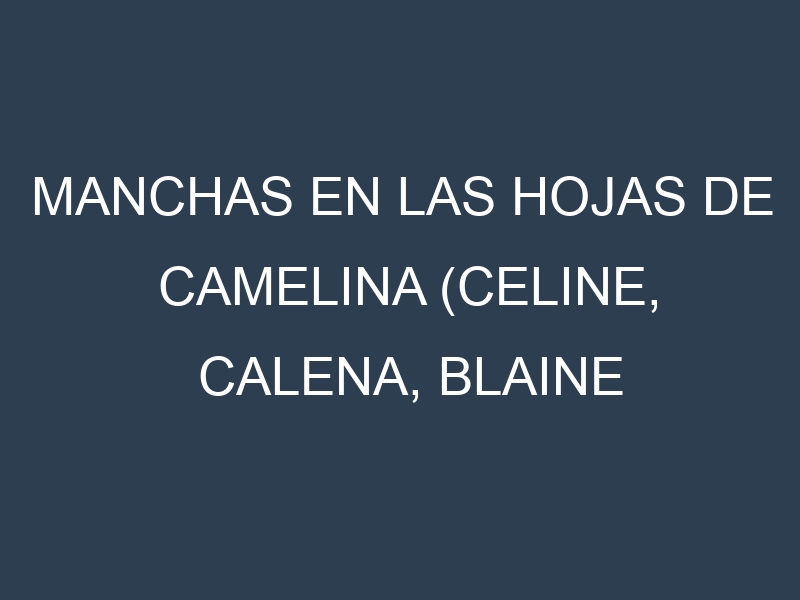 Manchas en las hojas de Camelina (Celine, Calena, Blaine Creek, Shoshone, Suneson): Identificación, Causas y Estrategias de Control Efectivo