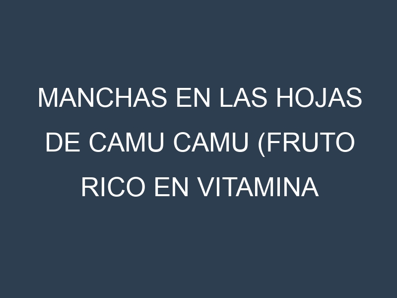 Manchas en las hojas de Camu camu (fruto rico en vitamina C): Identificación, Causas y Estrategias de Control Efectivo