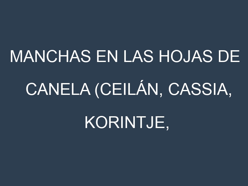 Manchas en las hojas de Canela (Ceilán, Cassia, Korintje, Saigón, Malabar): Identificación, Causas y Estrategias de Control Efectivo
