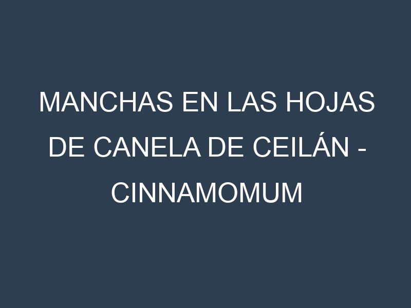 Manchas en las hojas de Canela de Ceilán – Cinnamomum verum: Identificación, Causas y Estrategias de Control Efectivo