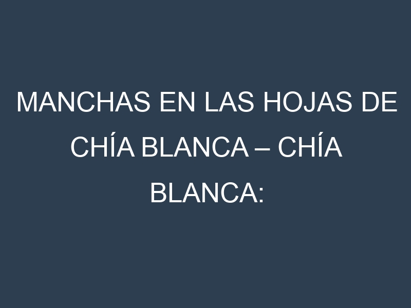 Manchas en las hojas de Chía blanca – Chía blanca: Identificación, Causas y Estrategias de Control Efectivo