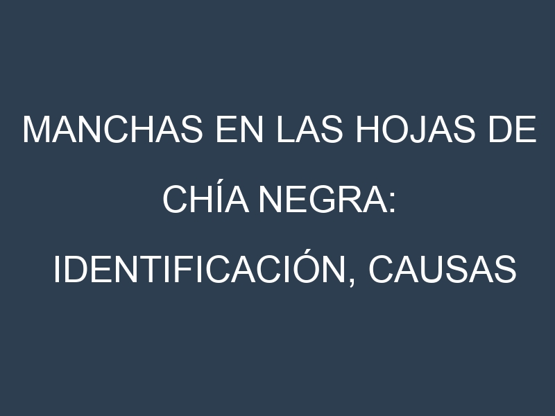 Manchas en las hojas de Chía negra: Identificación, Causas y Estrategias de Control Efectivo