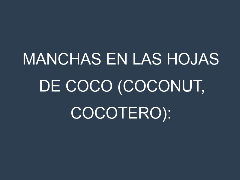 Manchas en las hojas de Coco (Coconut, cocotero): Identificación, Causas y Estrategias de Control Efectivo