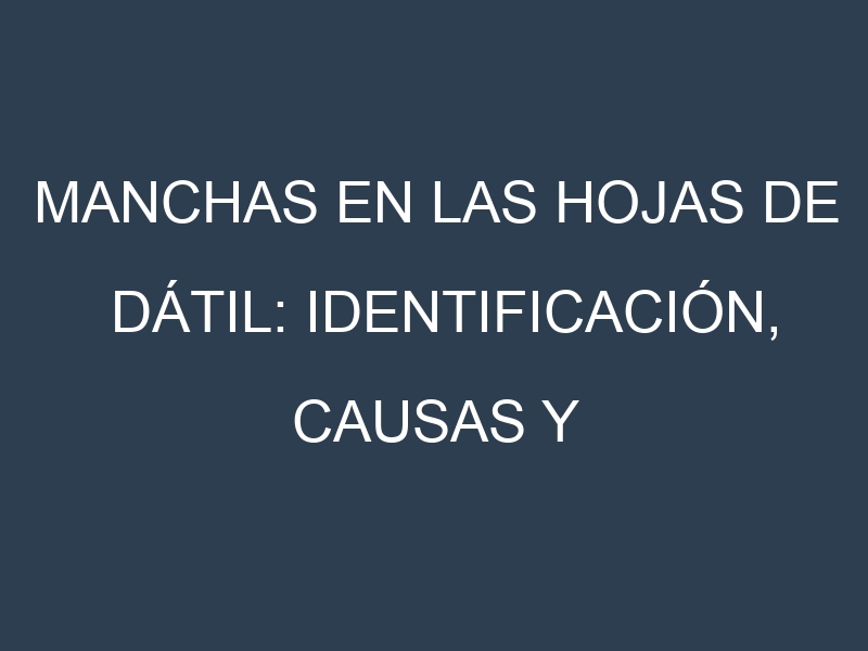 Manchas en las hojas de Dátil: Identificación, Causas y Estrategias de Control Efectivo