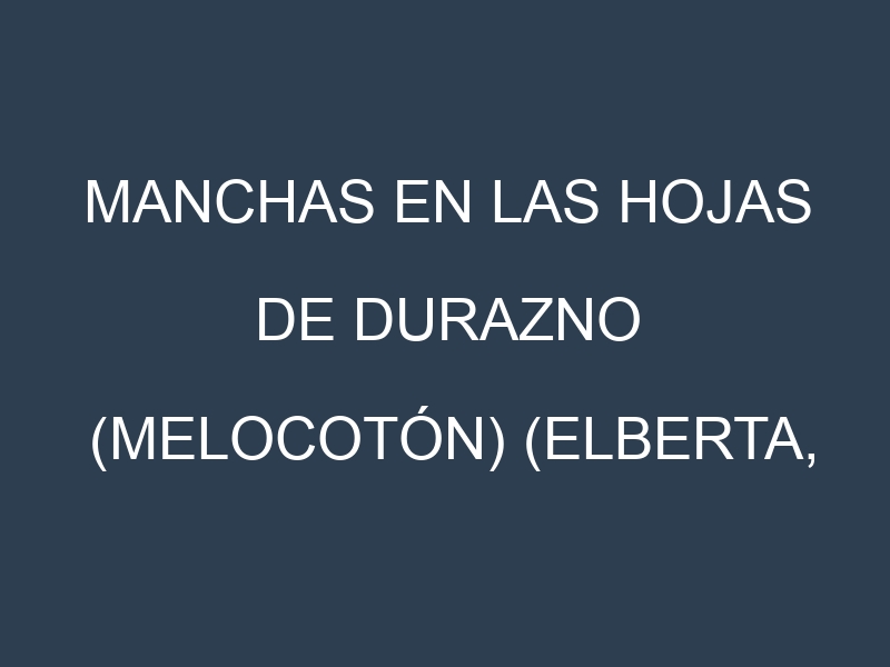 Manchas en las hojas de Durazno (melocotón) (Elberta, Redhaven, Hale, O’Henry, Donut): Identificación, Causas y Estrategias de Control Efectivo