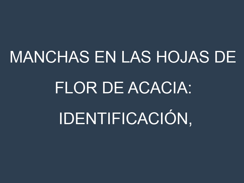 Manchas en las hojas de Flor de acacia: Identificación, Causas y Estrategias de Control Efectivo