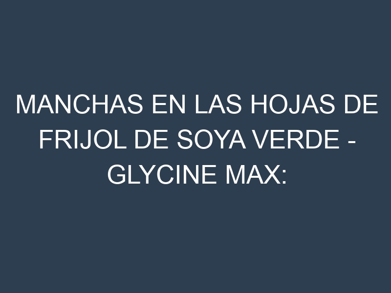 Manchas en las hojas de Frijol de soya verde – Glycine max: Identificación, Causas y Estrategias de Control Efectivo