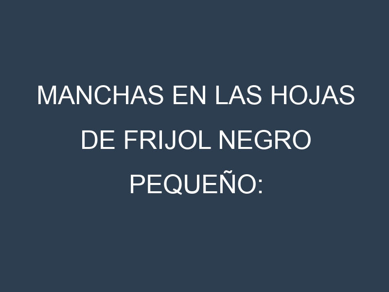 Manchas en las hojas de Frijol negro pequeño: Identificación, Causas y Estrategias de Control Efectivo