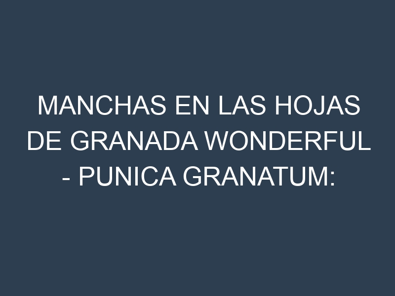 Manchas en las hojas de Granada Wonderful – Punica granatum: Identificación, Causas y Estrategias de Control Efectivo