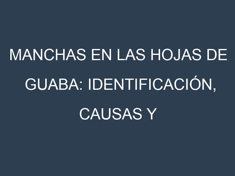 Manchas en las hojas de Guaba: Identificación, Causas y Estrategias de Control Efectivo