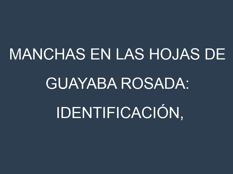Manchas en las hojas de Guayaba rosada: Identificación, Causas y Estrategias de Control Efectivo