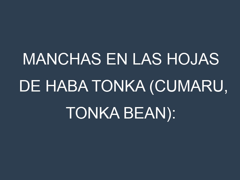 Manchas en las hojas de Haba tonka (Cumaru, tonka bean): Identificación, Causas y Estrategias de Control Efectivo