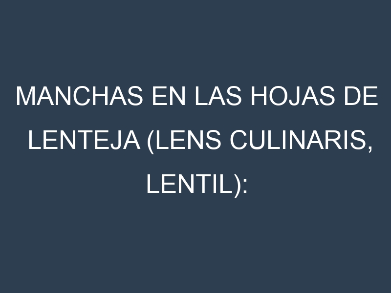 Manchas en las hojas de Lenteja (Lens culinaris, lentil): Identificación, Causas y Estrategias de Control Efectivo