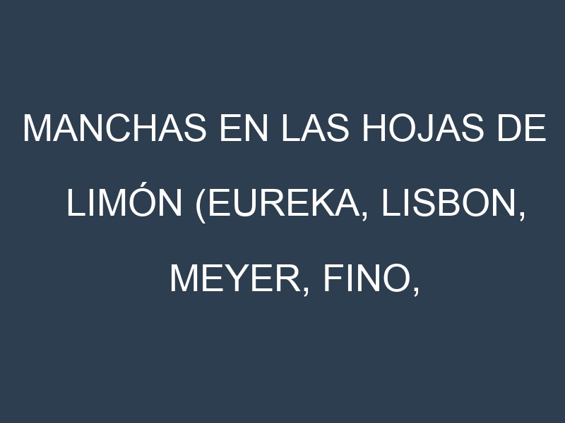 Manchas en las hojas de Limón (Eureka, Lisbon, Meyer, Fino, Verna): Identificación, Causas y Estrategias de Control Efectivo
