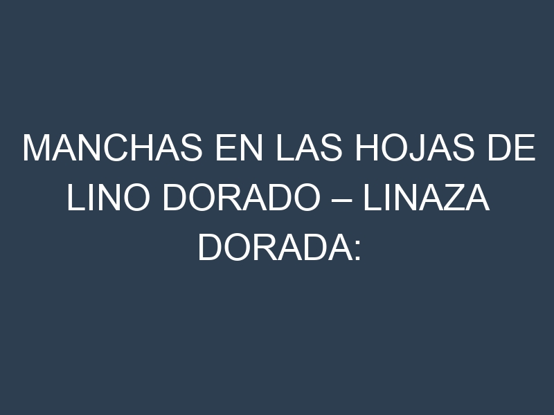 Manchas en las hojas de Lino dorado – Linaza dorada: Identificación, Causas y Estrategias de Control Efectivo