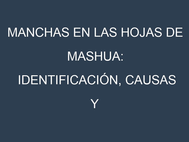 Manchas en las hojas de Mashua: Identificación, Causas y Estrategias de Control Efectivo