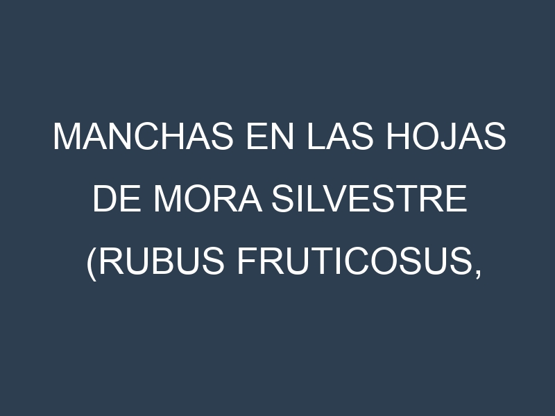 Manchas en las hojas de Mora silvestre (Rubus fruticosus, wild blackberry): Identificación, Causas y Estrategias de Control Efectivo