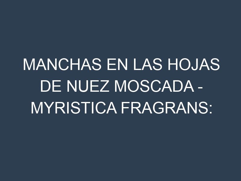 Manchas en las hojas de Nuez moscada – Myristica fragrans: Identificación, Causas y Estrategias de Control Efectivo