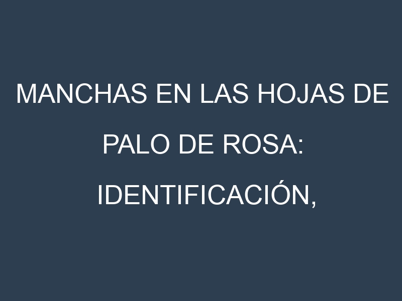 Manchas en las hojas de Palo de rosa: Identificación, Causas y Estrategias de Control Efectivo