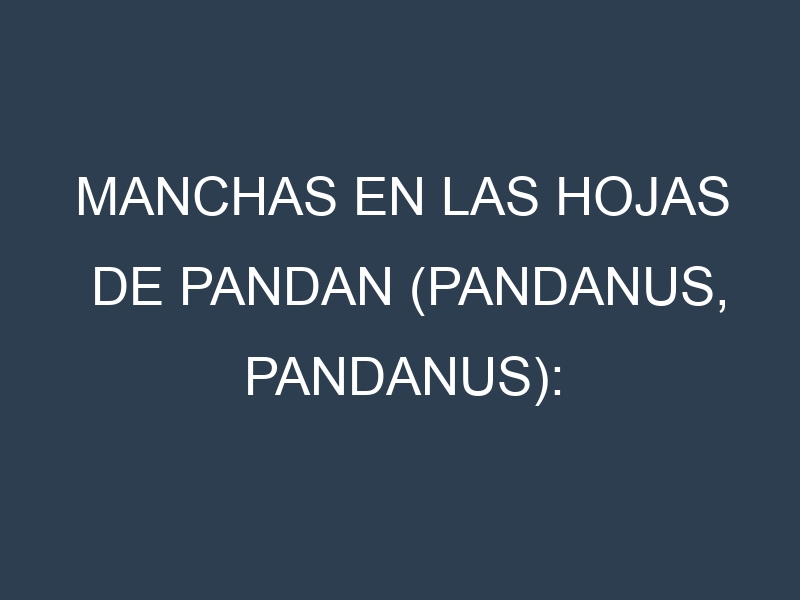 Manchas en las hojas de Pandan (Pandanus, pandanus): Identificación, Causas y Estrategias de Control Efectivo