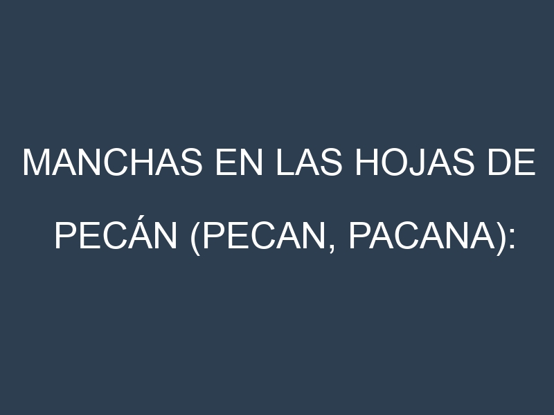 Manchas en las hojas de Pecán (Pecan, pacana): Identificación, Causas y Estrategias de Control Efectivo