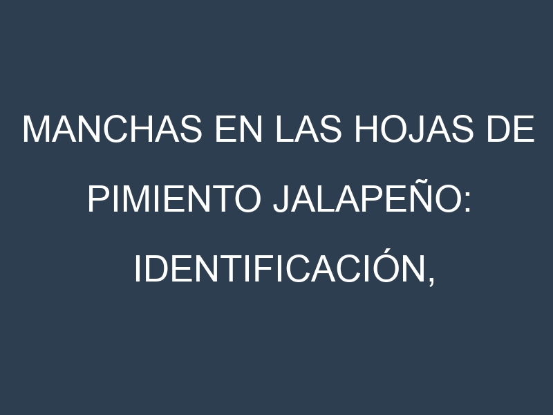 Manchas en las hojas de Pimiento jalapeño: Identificación, Causas y Estrategias de Control Efectivo