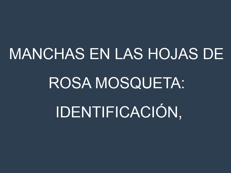 Manchas en las hojas de Rosa mosqueta: Identificación, Causas y Estrategias de Control Efectivo