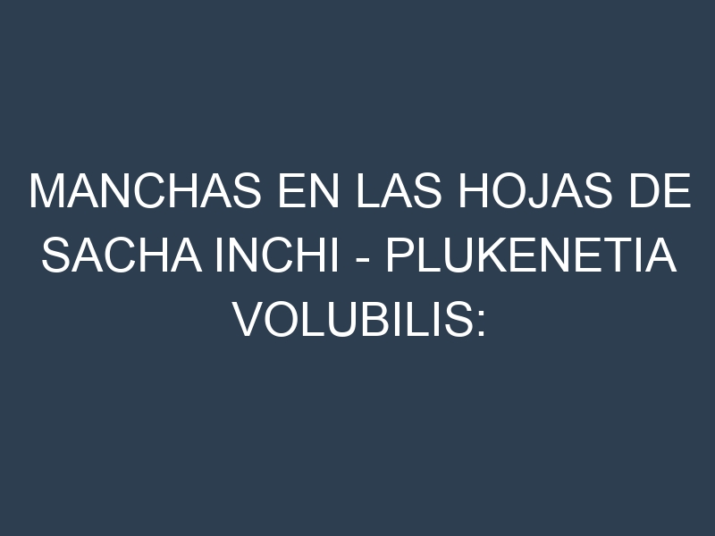 Manchas en las hojas de Sacha inchi – Plukenetia volubilis: Identificación, Causas y Estrategias de Control Efectivo