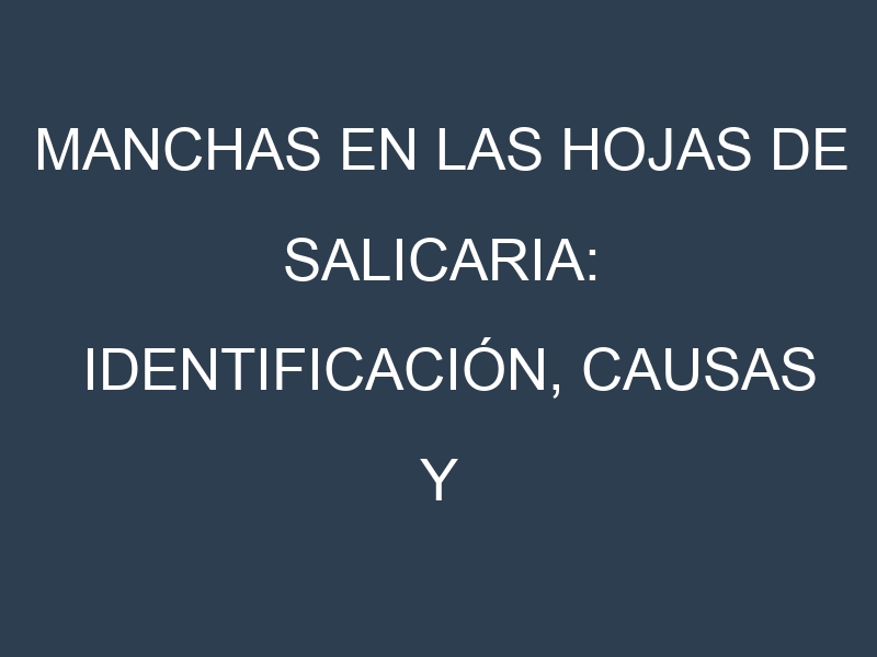 Manchas en las hojas de Salicaria: Identificación, Causas y Estrategias de Control Efectivo