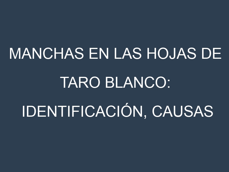 Manchas en las hojas de Taro blanco: Identificación, Causas y Estrategias de Control Efectivo