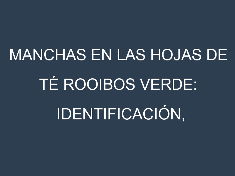 Manchas en las hojas de Té rooibos verde: Identificación, Causas y Estrategias de Control Efectivo