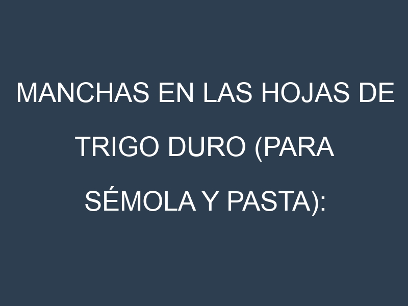 Manchas en las hojas de Trigo duro (para sémola y pasta): Identificación, Causas y Estrategias de Control Efectivo