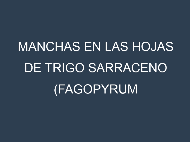 Manchas en las hojas de Trigo sarraceno (Fagopyrum esculentum, buckwheat): Identificación, Causas y Estrategias de Control Efectivo