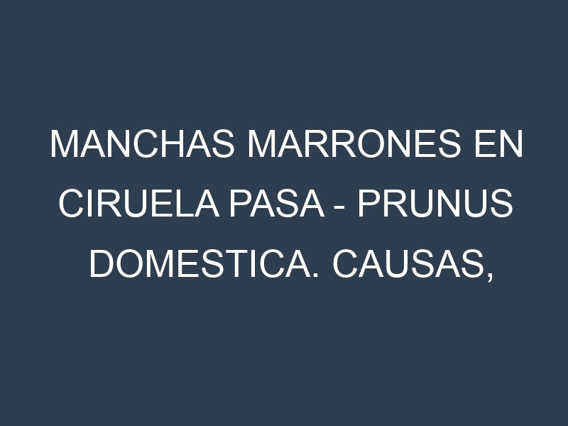 Manchas marrones en Ciruela pasa – Prunus domestica. Causas, Prevención y Soluciones