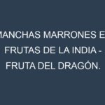 Manchas Marrones en Frutas de la India – Fruta del dragón. Hojas con manchas marrones en Frutas de la India – Fruta del dragón.