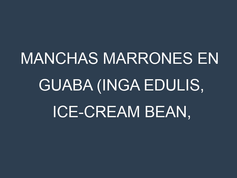 Manchas Marrones en Guaba (Inga edulis, Ice-cream bean, Shimbillo). Hojas con manchas marrones en Guaba (Inga edulis, Ice-cream bean, Shimbillo).
