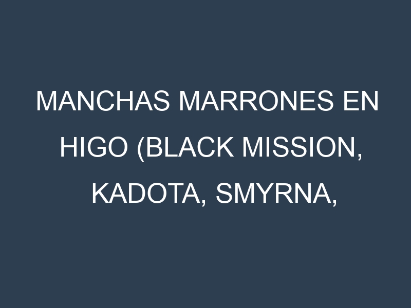 Manchas Marrones en Higo (Black Mission, Kadota, Smyrna, Brown Turkey). Hojas con manchas marrones en Higo (Black Mission, Kadota, Smyrna, Brown Turkey).