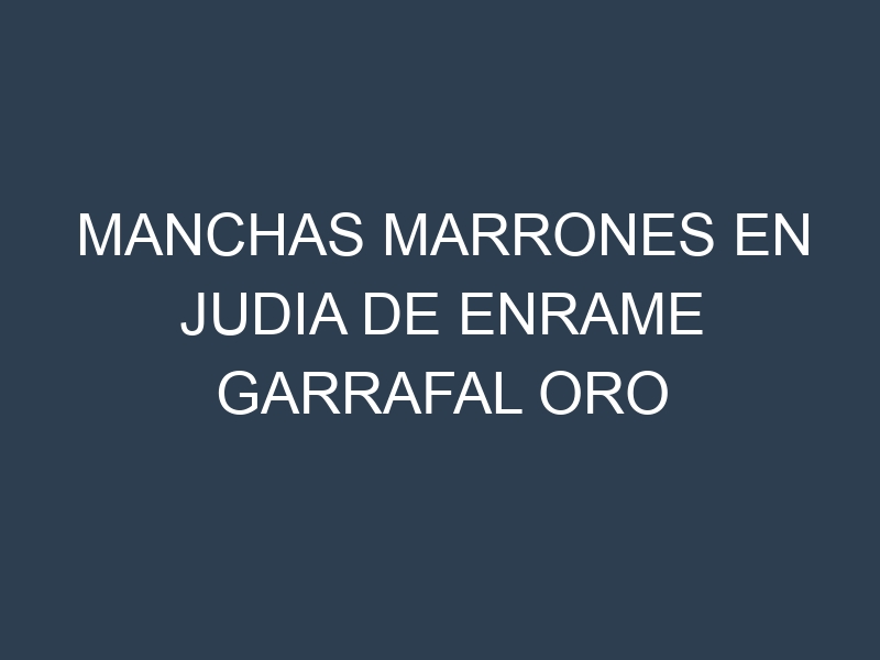 Manchas Marrones en Judia De Enrame Garrafal Oro