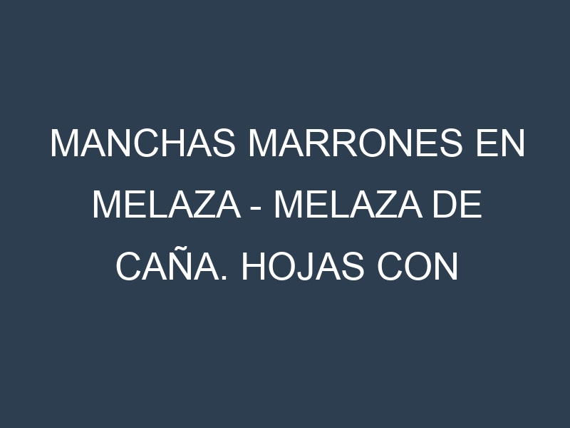 Manchas Marrones en Melaza – Melaza de caña. Hojas con manchas marrones en Melaza – Melaza de caña.
