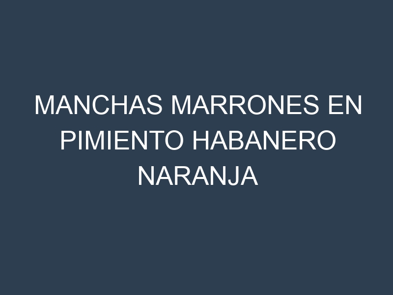 Manchas Marrones en Pimiento Habanero Naranja