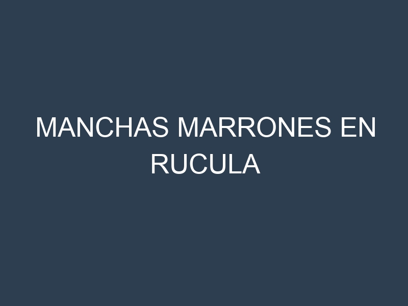 Manchas Marrones en Rucula