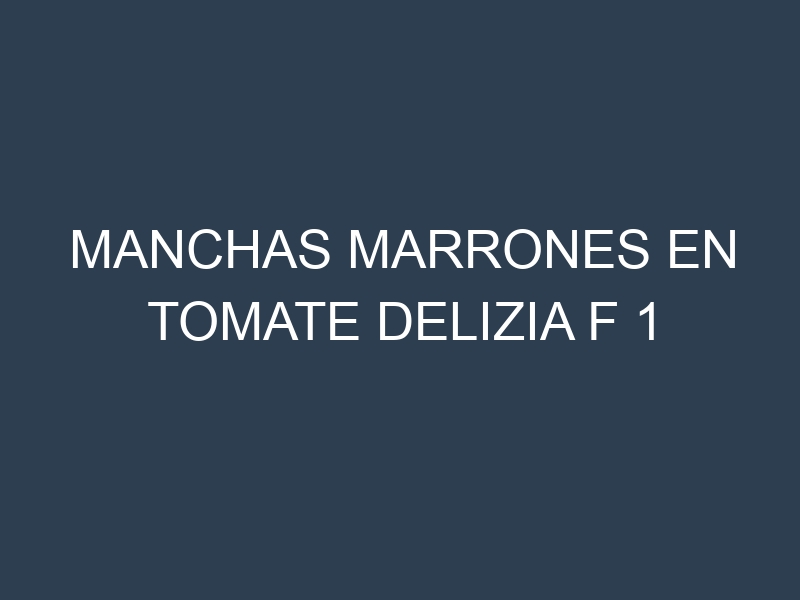 Manchas Marrones en Tomate Delizia F 1