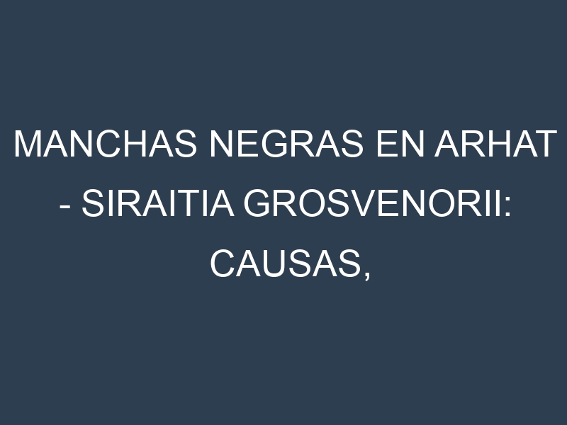 Manchas Negras en Arhat – Siraitia grosvenorii: Causas, Efectos y Manejo