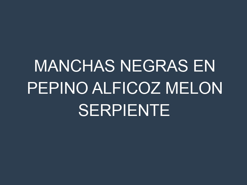 Manchas Negras en Pepino Alficoz Melon Serpiente