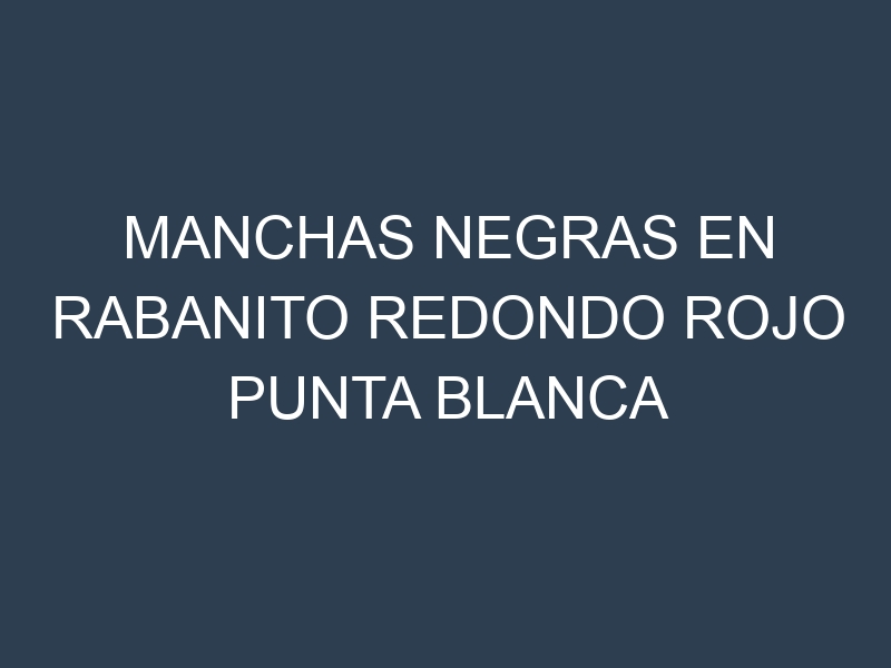 Manchas Negras en Rabanito Redondo Rojo Punta Blanca
