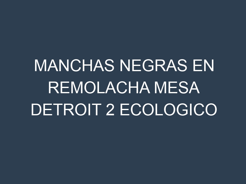 Manchas Negras en Remolacha Mesa Detroit 2 Ecologico