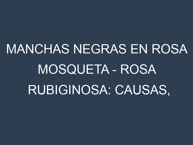 Manchas Negras en Rosa mosqueta – Rosa rubiginosa: Causas, Efectos y Manejo